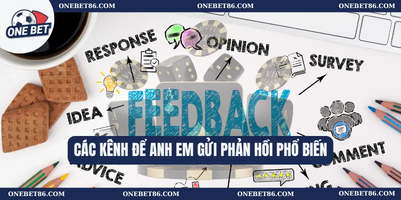 Các kênh để anh em gửi phản hồi phổ biến
